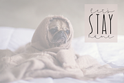 Dandy Dandelions - A Script Font Duo, a Script Font by KA Designs (Thumbnail 4 of 12)