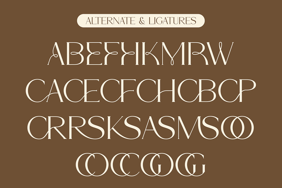 Bromle - New Modern Serif Font, a Serif Font by Muflieart (Photo 9 of 12)