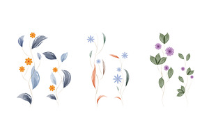 Watercolor floral stems with, an Illustration by okskukuruza