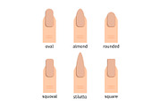 Most popular nail shapes with nude, a Background Graphic by Stock-Smart ...