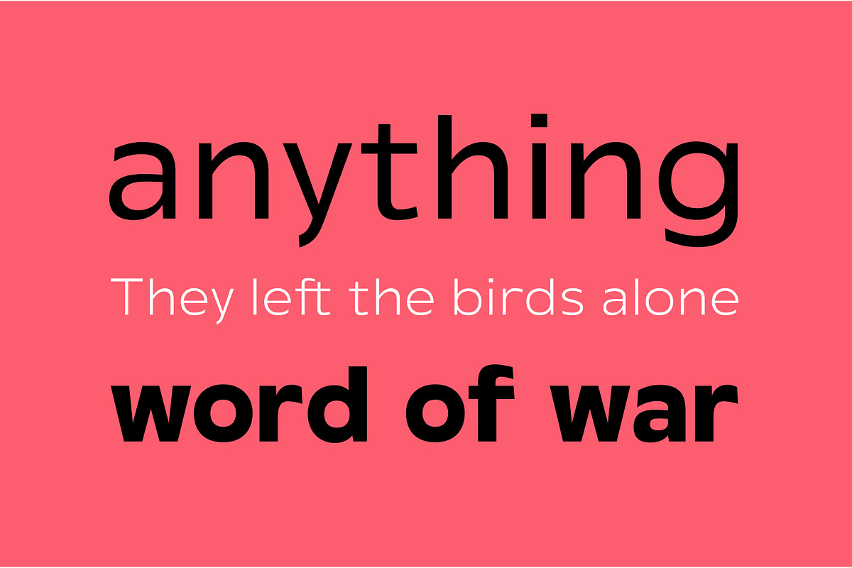 Rafine, a Sans Serif Font by emreguventype (Photo 7 of 10)