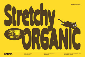 Stretchy Organic - Compressed Font, a Sans Serif Font by Zarma Type