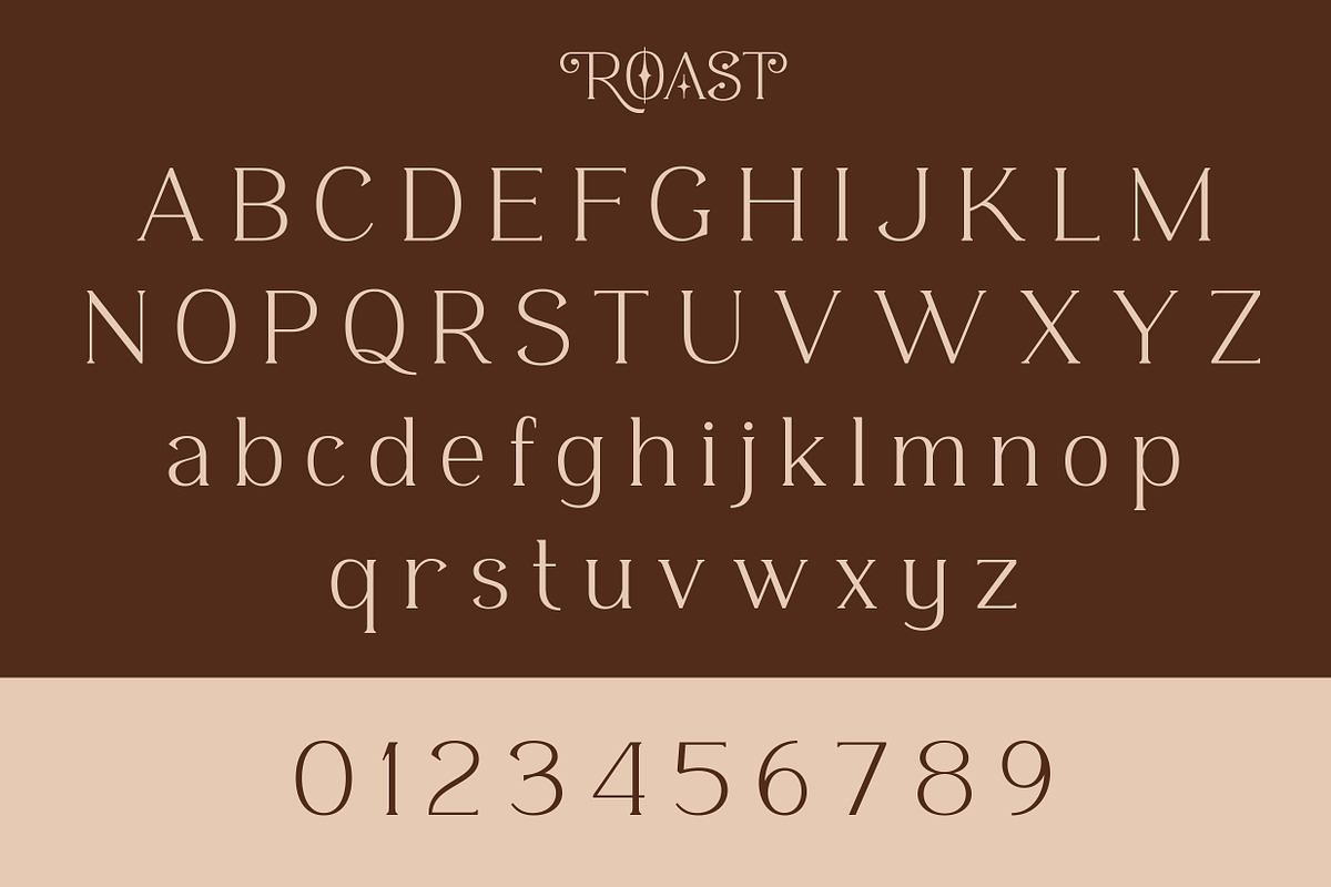 ROAST - Decorative Display Serif, a Serif Font by Konstantine Studio (Photo 10 of 10)