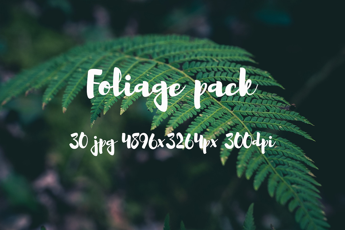 Foliage pack, a Templates & Theme by ApertureVintage (Photo 21 of 21)