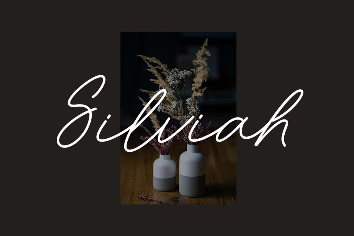 Richmond Woodhaven Signature Font, a Handwritten Font by UICreative (Photo 8 of 13)