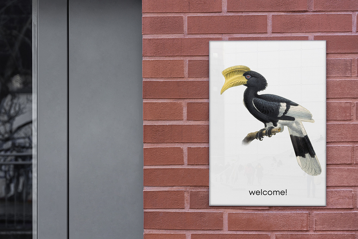 Vintage hornbill illustrations, an Animal Illustration by Natalka Dmitrova art (Photo 8 of 17)