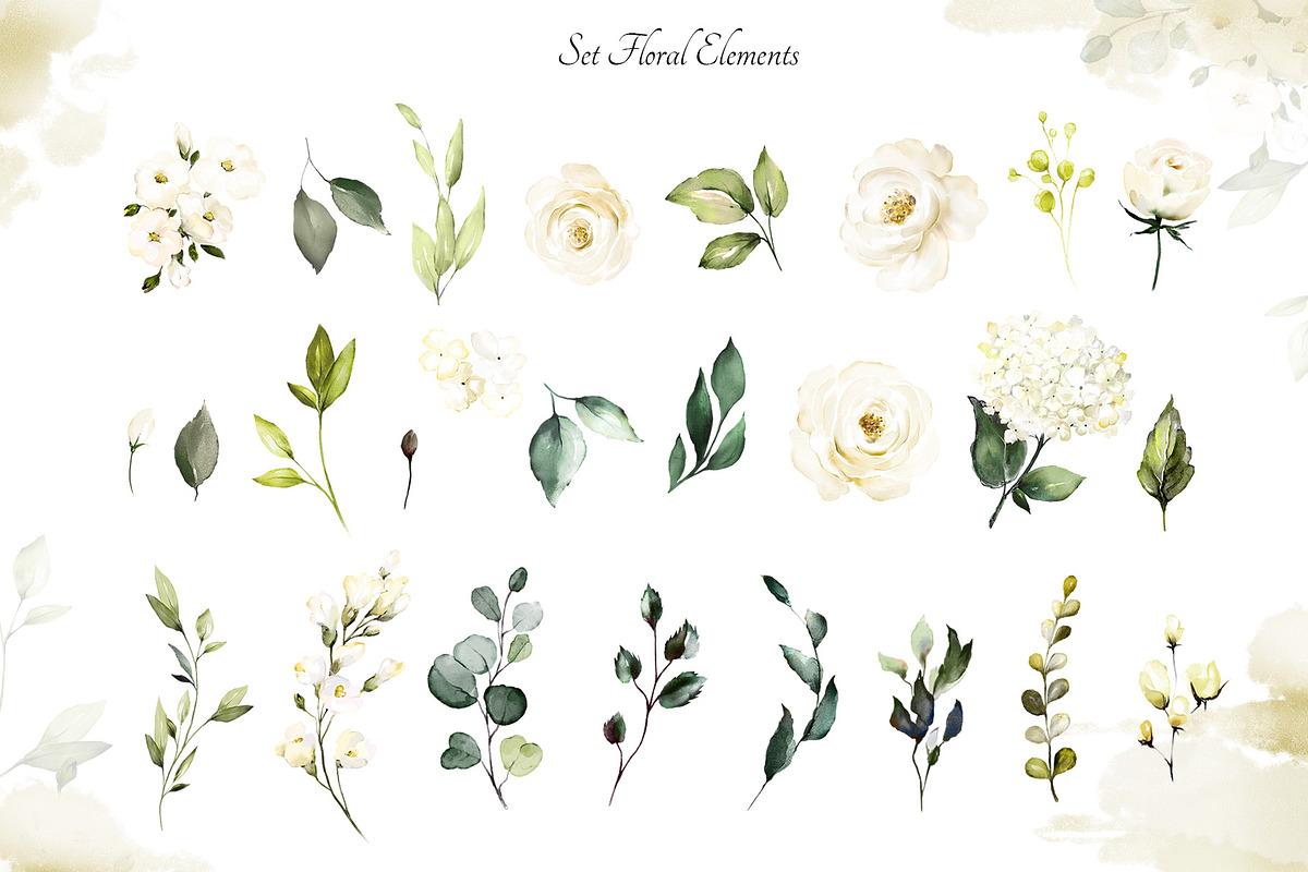 White roses. Watercolor floral set, a Decorative Illustration by Lisima (Photo 9 of 16)