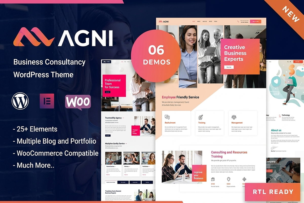 Agni - Consulting WordPress Theme, a WordPress Template by ThemesRain (Photo 1 of 3)