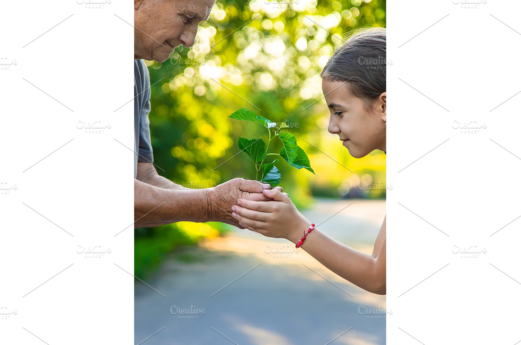 The child and grandmother are, a Nature Photo by yanadjana