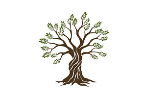 Olive trees with branches and, an Object Illustration by Things for designers