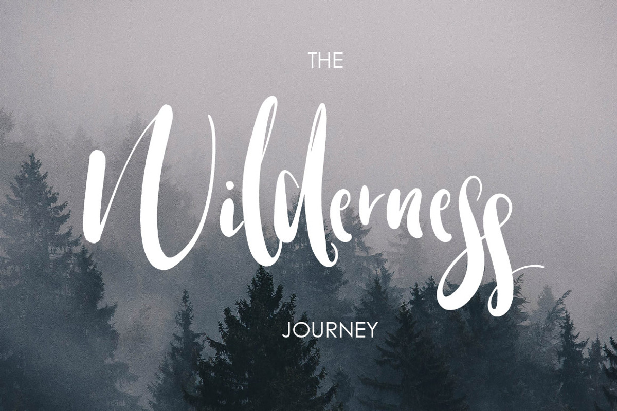 Warrenson Script Font, a Script Font by Creativeqube Design (Photo 13 of 19)