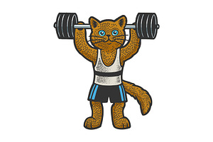 Cat Weight Lifter Color Sketch