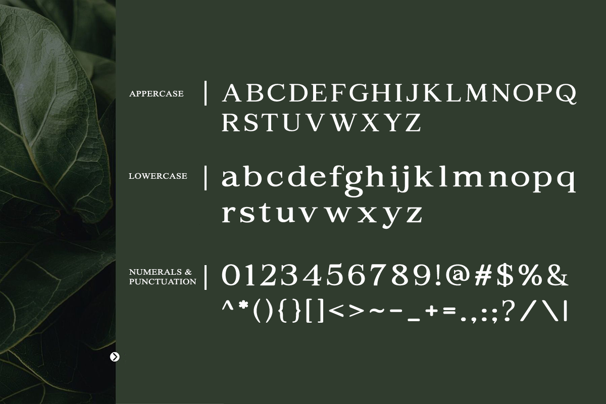 Aragusha Decorative Serif Font, a Serif Font by Rasio Studio (Photo 2 of 9)