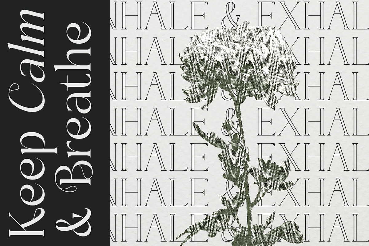 Sainer Bagora Modern Serif, a Serif Font by timelesstype.co (Photo 4 of 20)