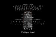 Mahgony Monoline Business Font, a Script Font by Multype Studio (Thumbnail 5 of 7)