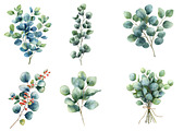 Watercolor Eucalyptus Clipart, an Illustration by Designworld (Thumbnail 3 of 6)