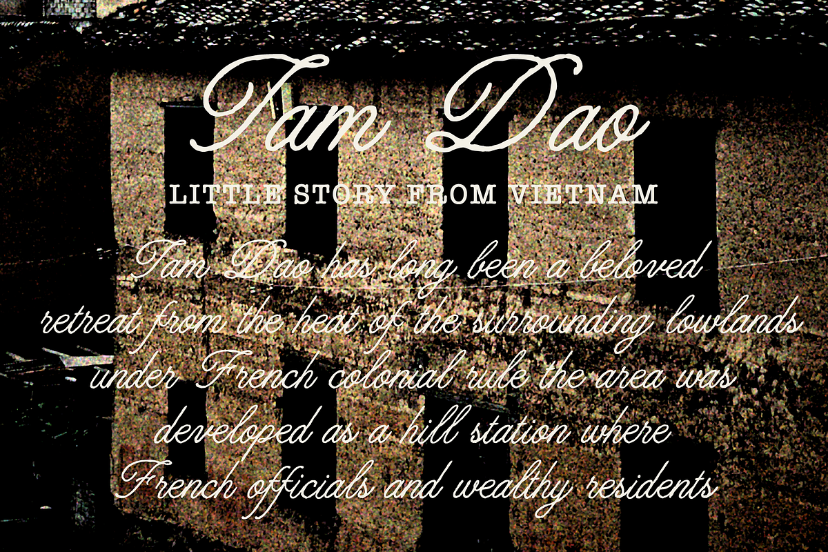 Royale Victoria | Handwritten Script, a Handwritten Font by Jolicia Type (Photo 3 of 10)
