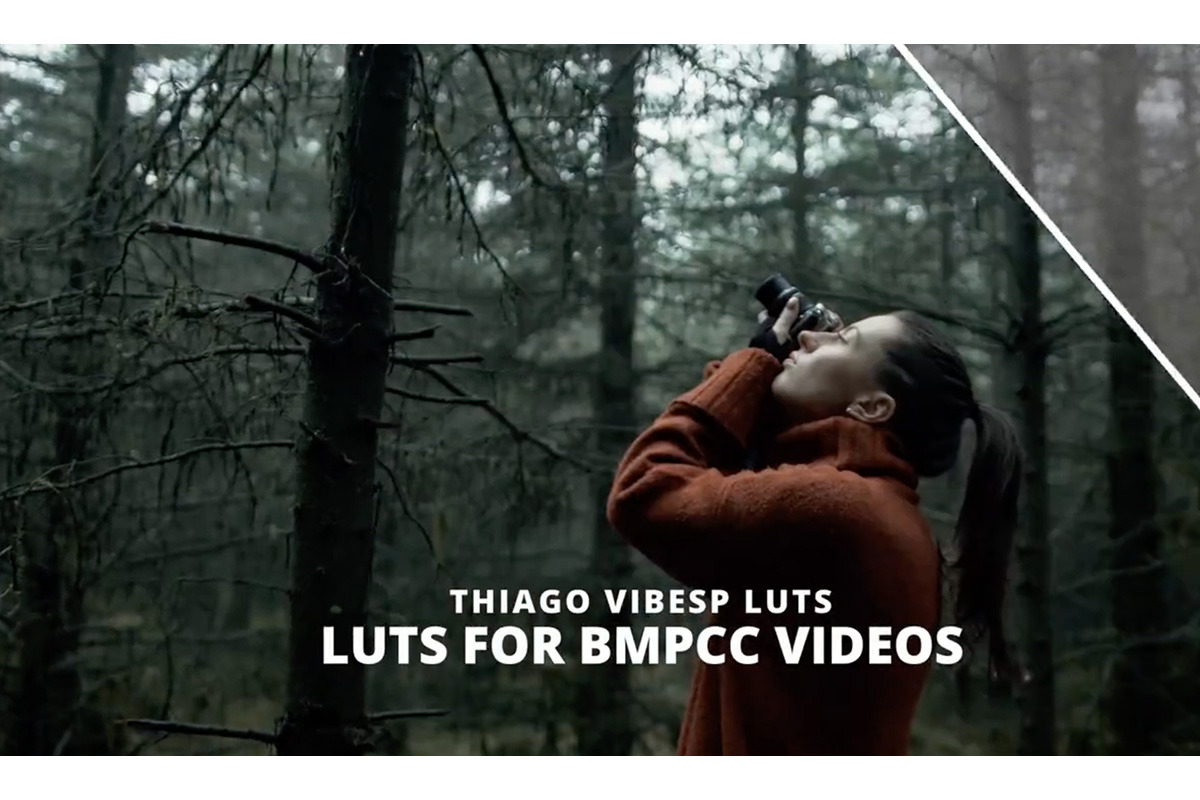 BMPCC LUTs + Ebook+ Website Template, a Preset Add-On by Creative House (Photo 3 of 7)