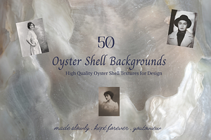 Oyster Shell Textures Backgrounds