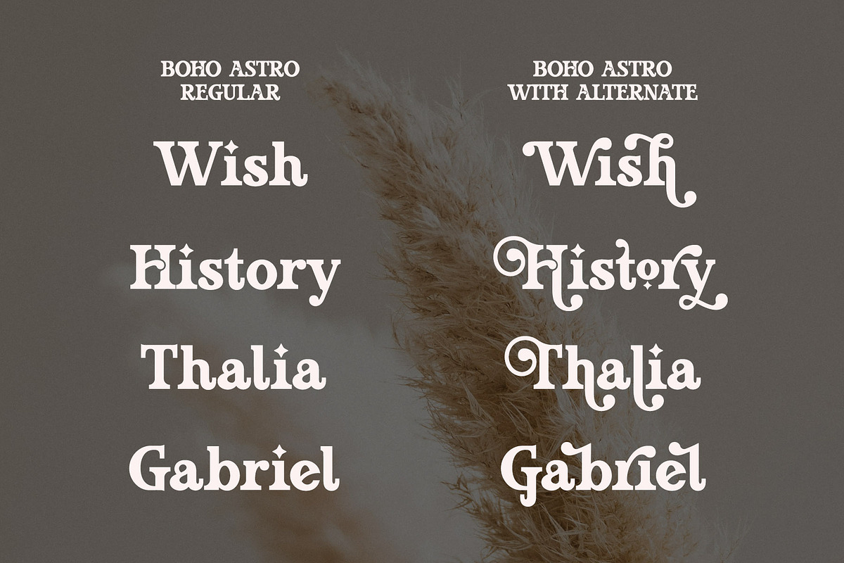 Boho Astro - Vintage Slab Serif, a Slab Serif Font by Airotype (Photo 2 of 13)