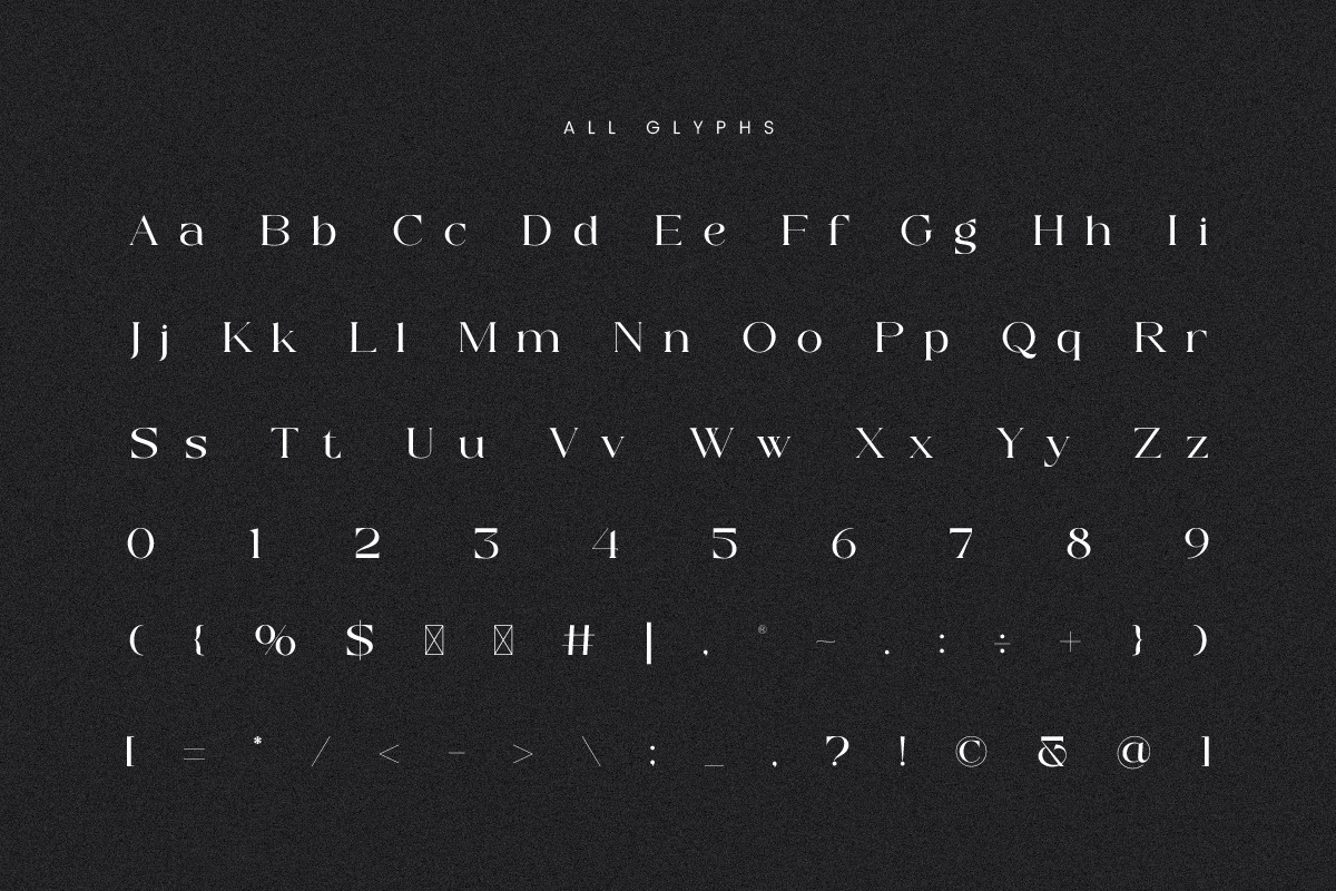 Monelos || modern serif, a Serif Font by ToniStudio (Photo 8 of 10)