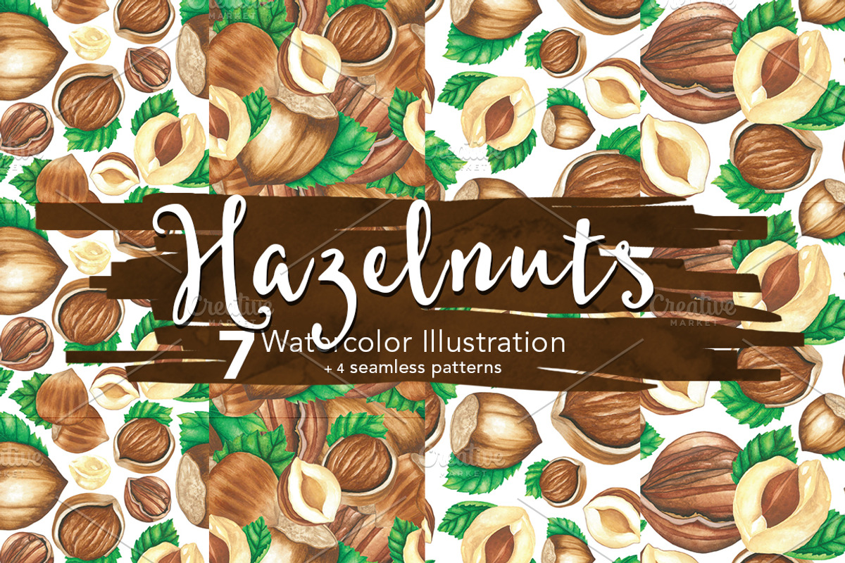 Hazelnuts Watercolors Illustration, an Illustration by andypray (Photo 3 of 5)