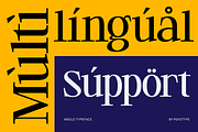 Meglo - Elegant Modern Serif Font, a Serif Font by Pekotype (Thumbnail 5 of 15)