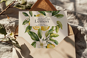 Sicilian Lemon - Watercolor clipart, a Decorative Illustration by ThaismotaCreativeCo (Thumbnail 7 of 9)