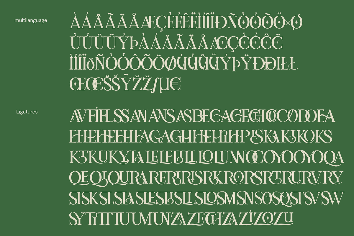 Louise - Elegant Ligatures Serif, a Serif Font by Fortunes Co (Photo 6 of 14)