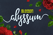Alyssum Blossom, a Script Font by Bombastype (Thumbnail 1 of 11)
