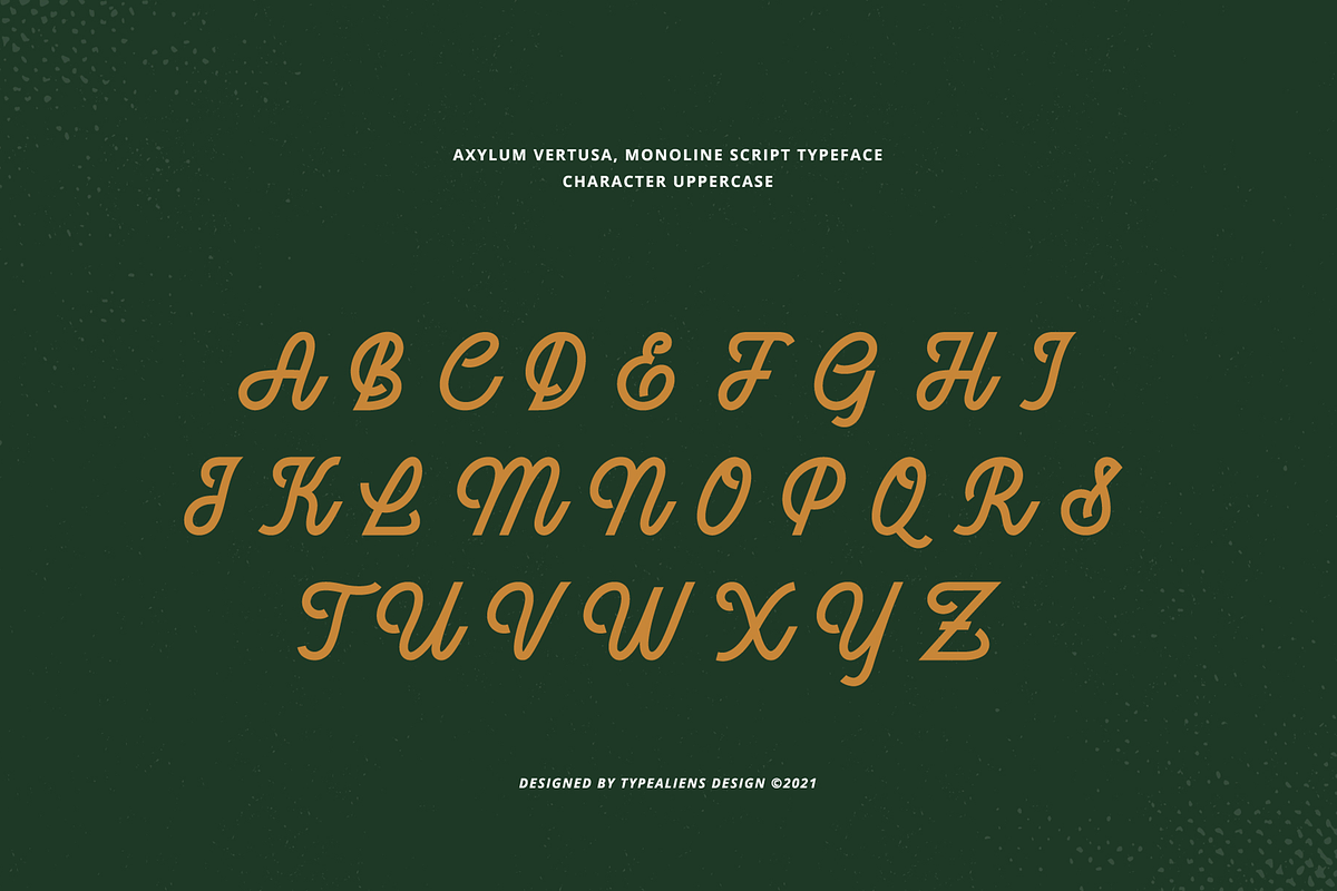 Axylum Vertusa, a Script Font by ilhamtaro (Photo 7 of 11)