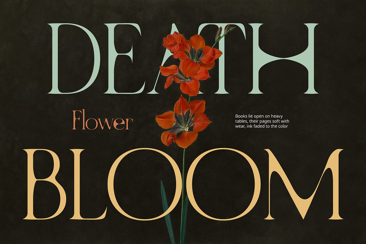 CS Rowena Drawn, a Serif Font by Craft Supply Co. (Photo 3 of 8)