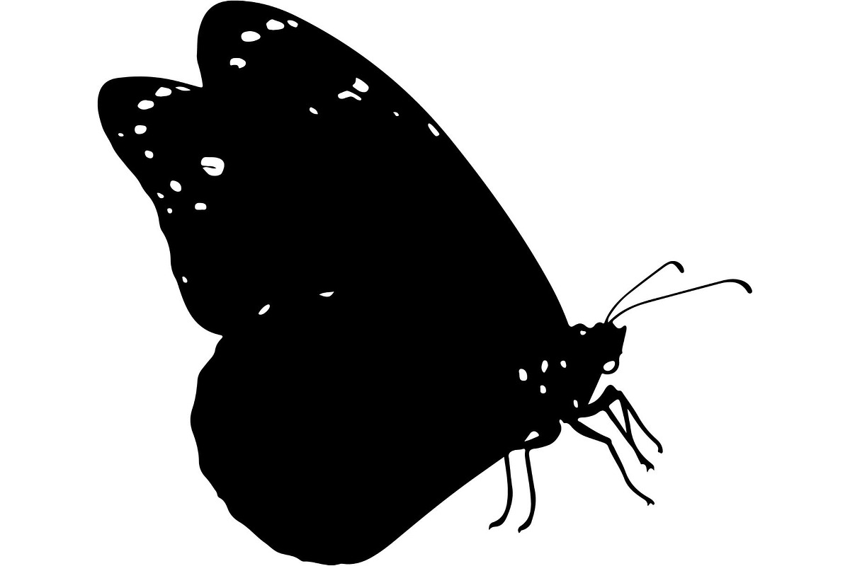 Butterfly Silhouette Bundle, an Object Graphic by Designer_Momina (Photo 2 of 20)