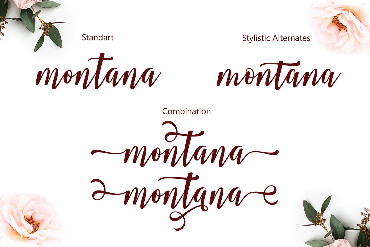 Smonthia Script preview 4