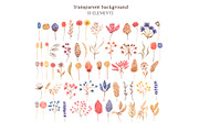 Dried Herbs and Wildflowers, an Illustration by MayaNavits (Thumbnail 3 of 13)