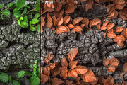 Autumn Makeover, an Action Add-On by Pencil Pixels (Thumbnail 6 of 9)