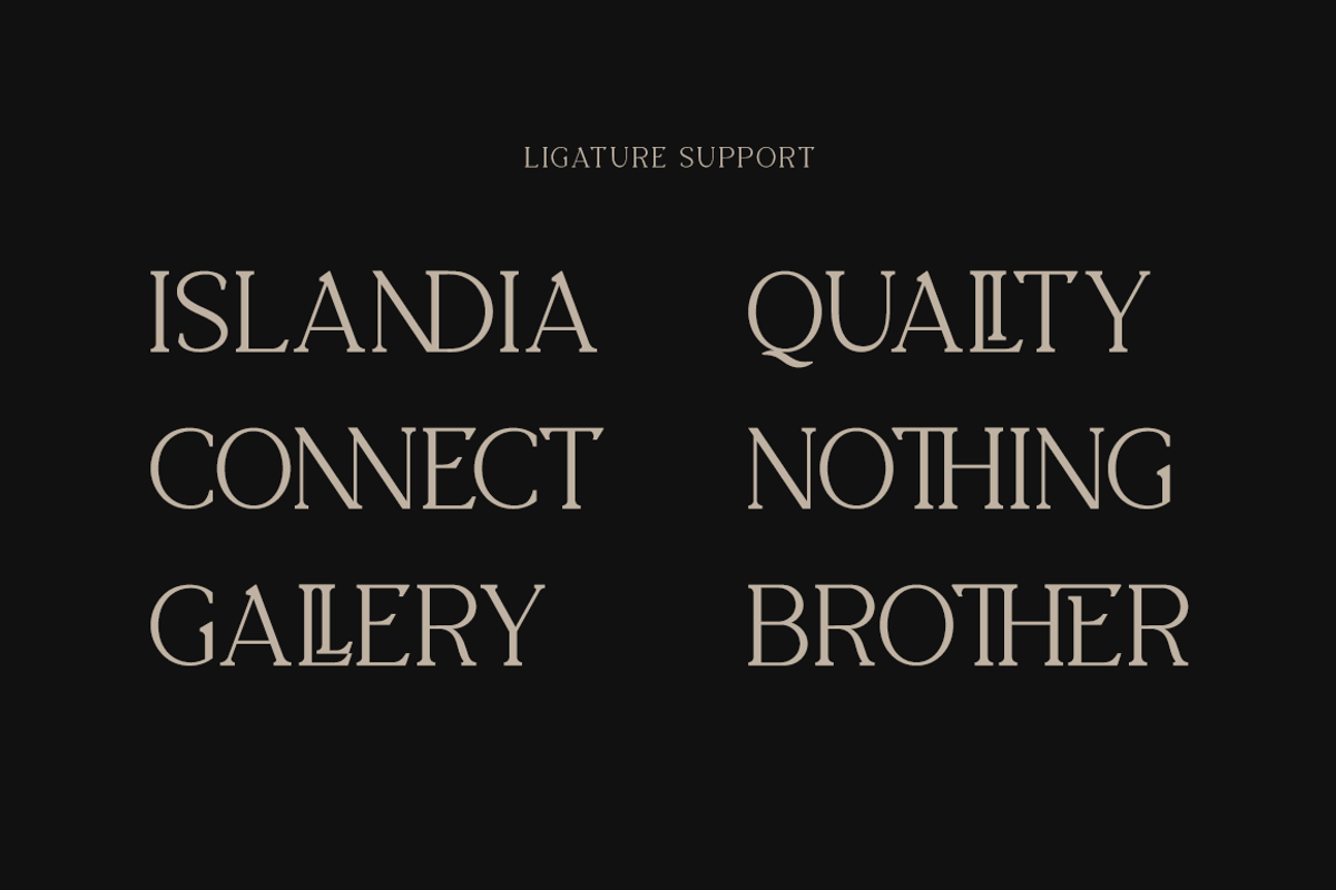 The Blinders - Elegant Serif Font, a Serif Font by RockboyStd (Photo 8 of 12)