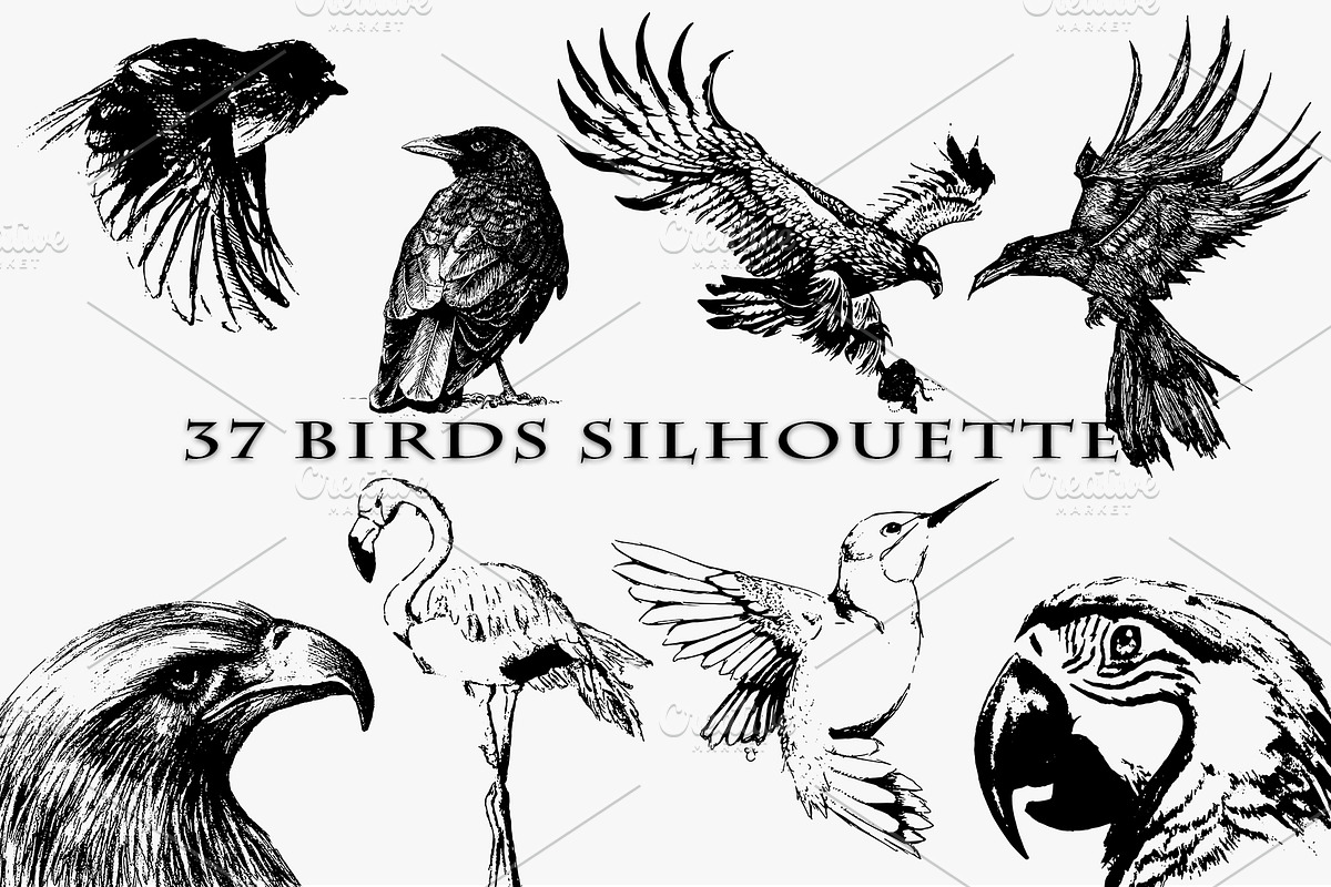 Birds set vector. Silhouette images, an Animal Illustration by AnastasiyaOleynik (Photo 1 of 8)