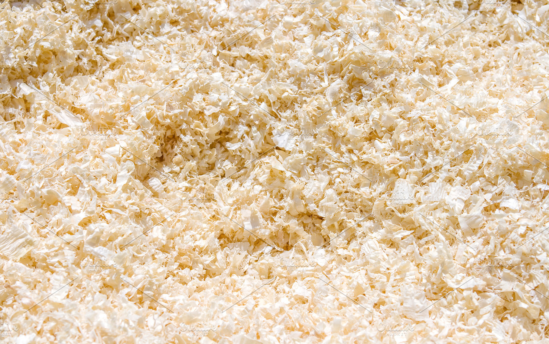 Sawdust featuring sawdust, close up, and background