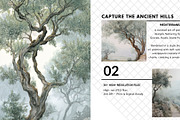 30+ Timeless Olive Grove & Mist, a Decorative Illustration by Virgo Studio (Thumbnail 3 of 6)
