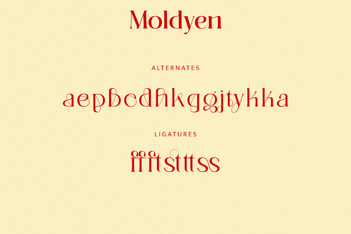 Moldyen Font Family, a Serif Font by MJtypefoundry (Photo 9 of 10)