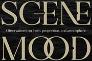 Sonice - Modern Luxury Font, a Serif Font by Vampstudio (Thumbnail 8 of 13)