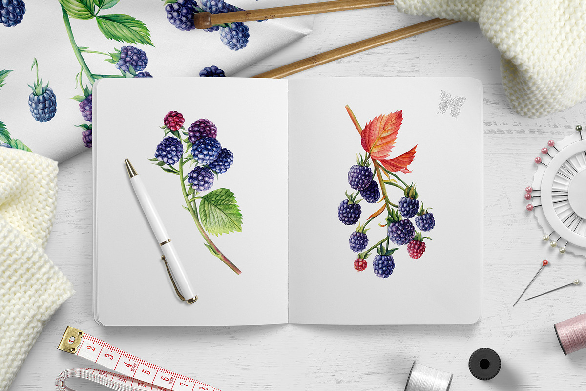 Watercolor Fresh Berries, a Decorative Illustration by Hanna Hryharenka (Photo 8 of 16)