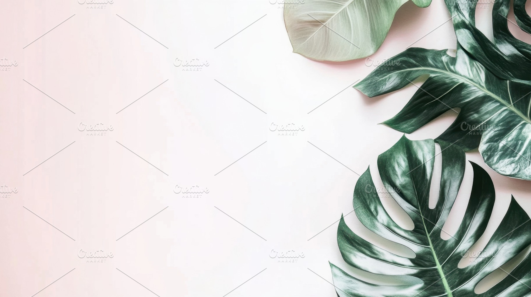 Tropical leaves on light surface, a Photo by Beautiful things