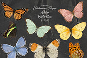 Herbarium, Handmade Paper Design Kit, an Object Graphic by DreamoraArt (Thumbnail 2 of 9)