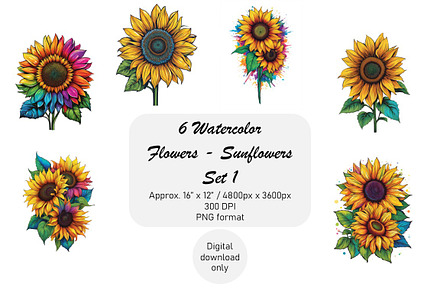 Watercolor Sunflowers Clipart, Set 1