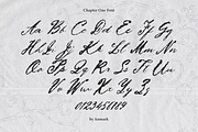 Chapter One Textured Vintage Scrip, a Script Font by AnMark (Thumbnail 5 of 12)