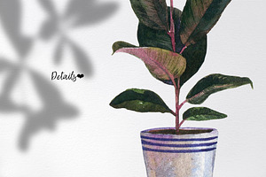 Watercolor Houseplant Set