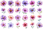 Watercolor Spring Cosmos Flower Clip, a Texture Illustration by DreamPrint404 (Thumbnail 6 of 7)