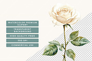 Watercolor Thorn wood Clipart Bundle, a Decorative Illustration by BusyDaydesign (Thumbnail 6 of 9)